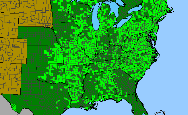 The range of Rubus flagellaris